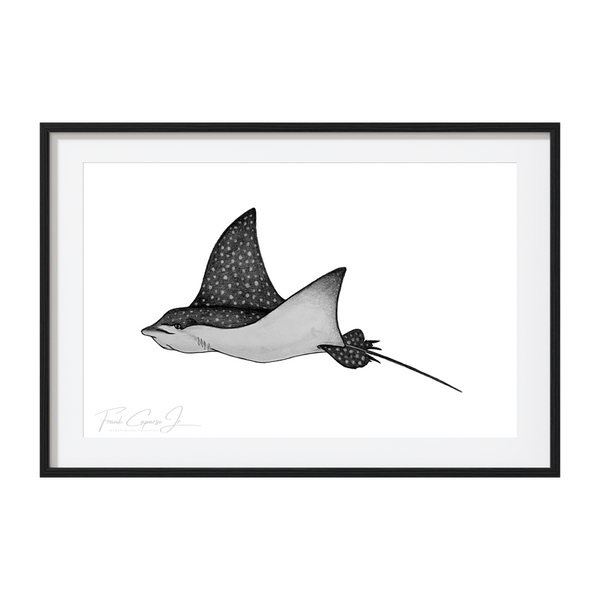 Spotted Eagle Ray Pencil Drawing Print No. 1