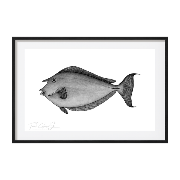 Bluespine Unicornfish Pencil Drawing Print No.1