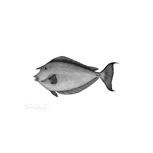 Bluespine Unicornfish Pencil Drawing Print No.1