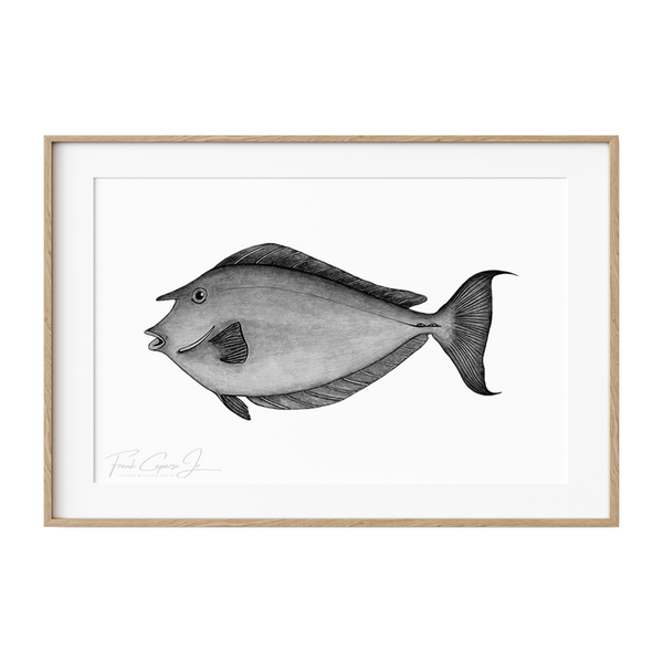 Bluespine Unicornfish Pencil Drawing Print No.1