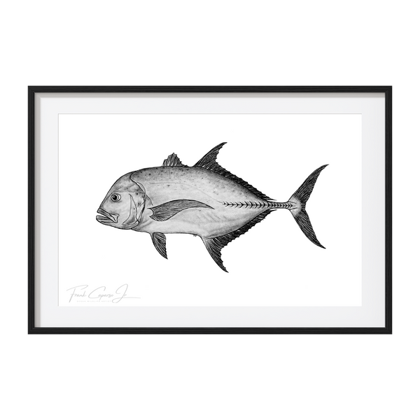 Giant Trevally Pencil Drawing Print No. 1